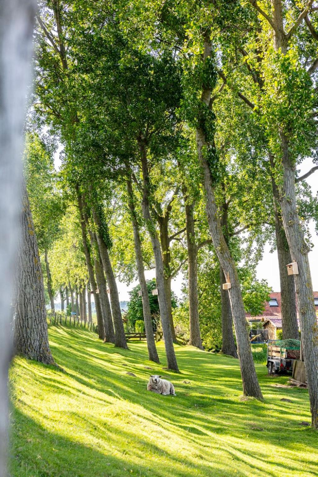 Holiday Home Polderzicht By Interhome Zuid-Beijerland Exteriér fotografie